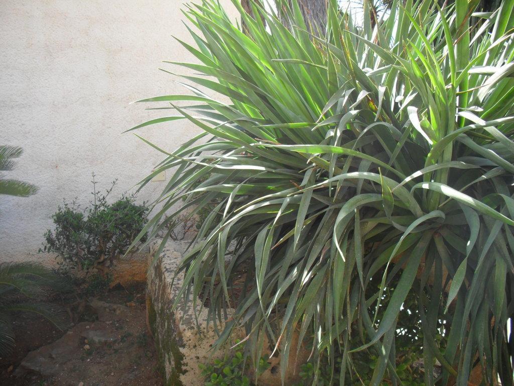 Casa Petros Marsala Exterior foto